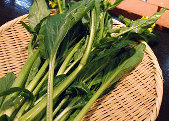 アスパラ菜の鉄板焼：今の時期特におすすめの野菜　甘くてとてもおいしいです。