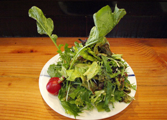 無農薬野菜サラダ